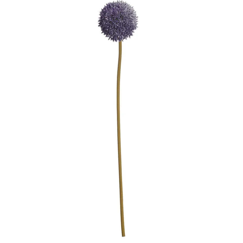Kwantum Bloem Allium Paars