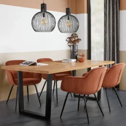 Kwantum Hanglamp Diana Zwart