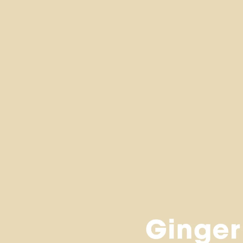 Kwantum Muurverf Professional Ginger 1 L